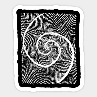 White double shell Fibonacci spiral golden ratio Sticker